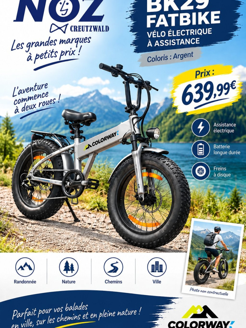 BK29 FATBIKE A ASSISTANCE ELECTRIQUE GRIS