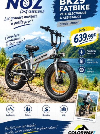 BK29 FATBIKE A ASSISTANCE ELECTRIQUE GRIS