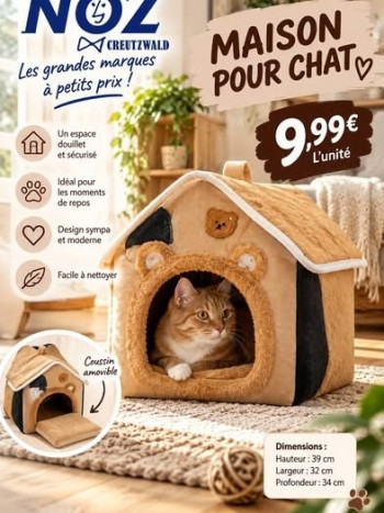 Maison pour chat