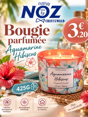 BOUGIE PARFUMEE  SPA WATER AQUAMARINE HIBISCUS